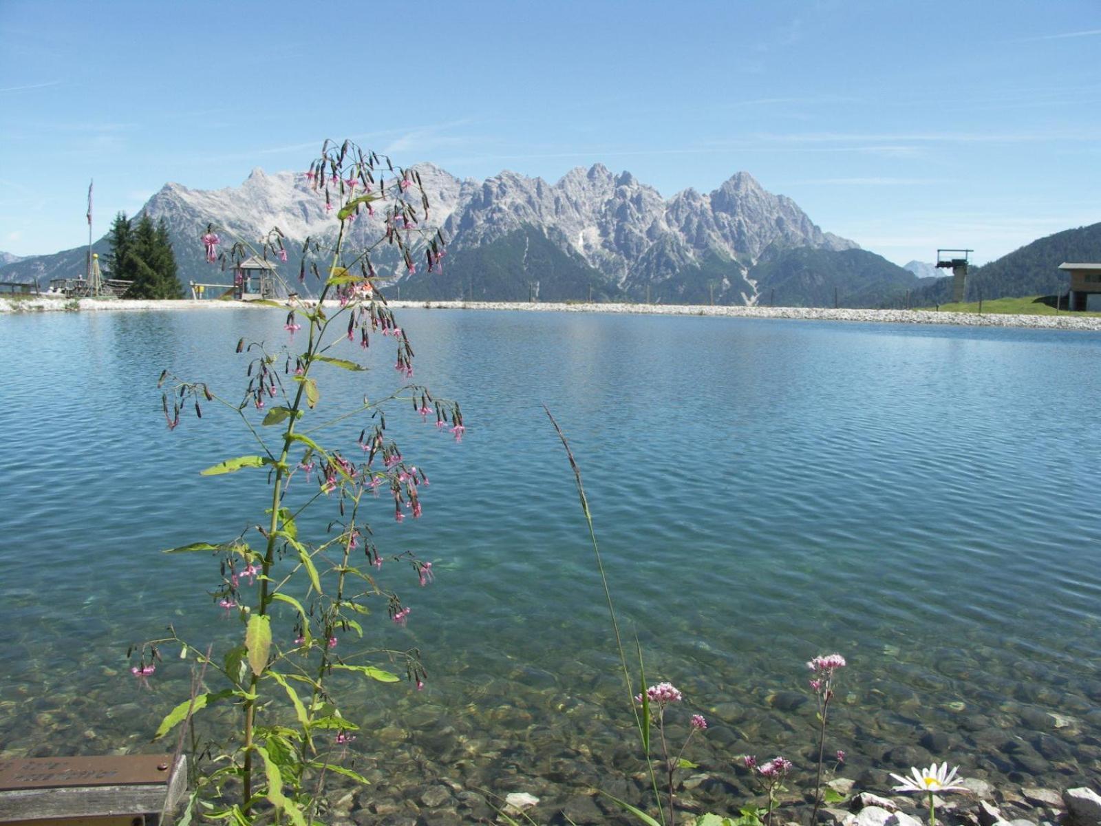Ferienhof Obertenn Hochfilzen Buitenkant foto